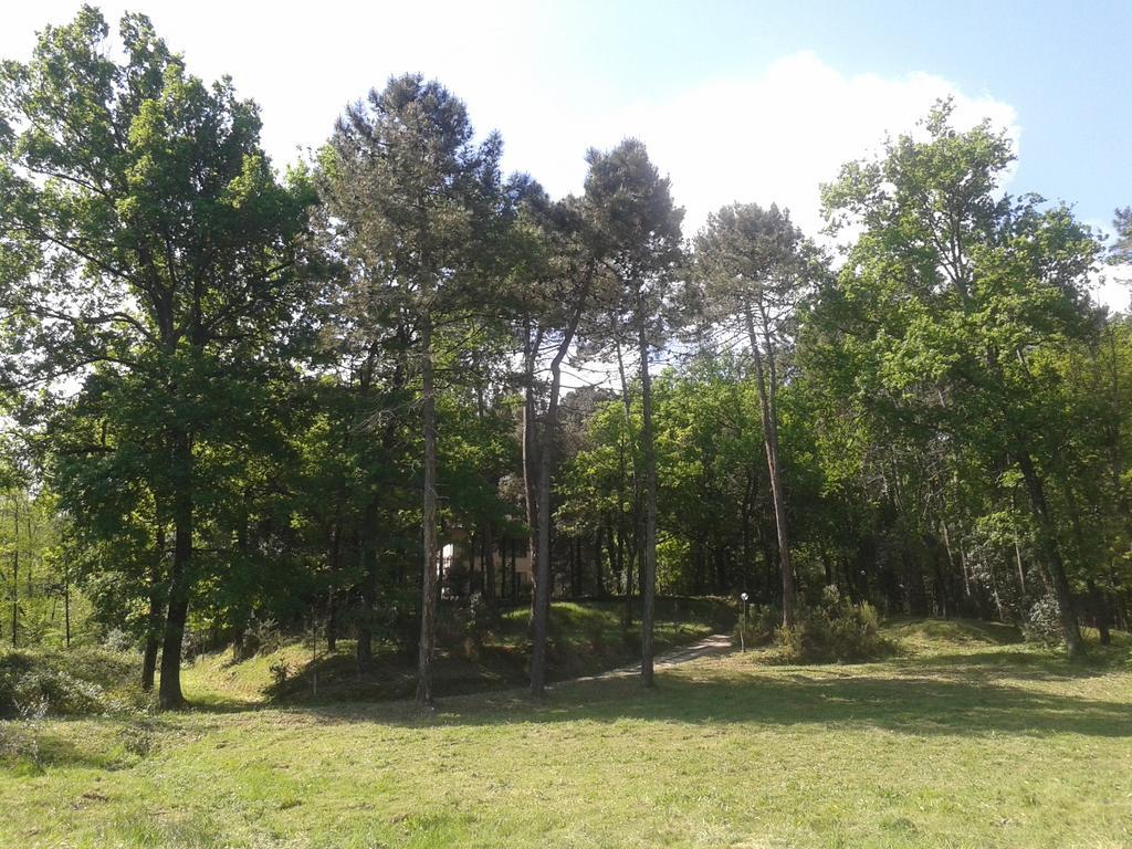 Park View Country House B&B Capannori Exterior foto