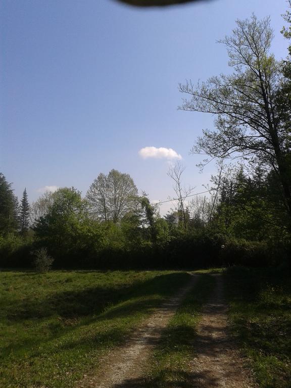 Park View Country House B&B Capannori Exterior foto