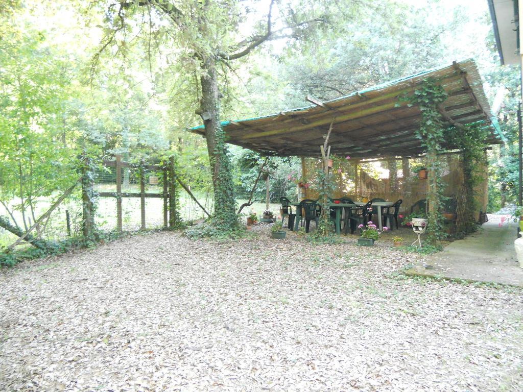 Park View Country House B&B Capannori Exterior foto