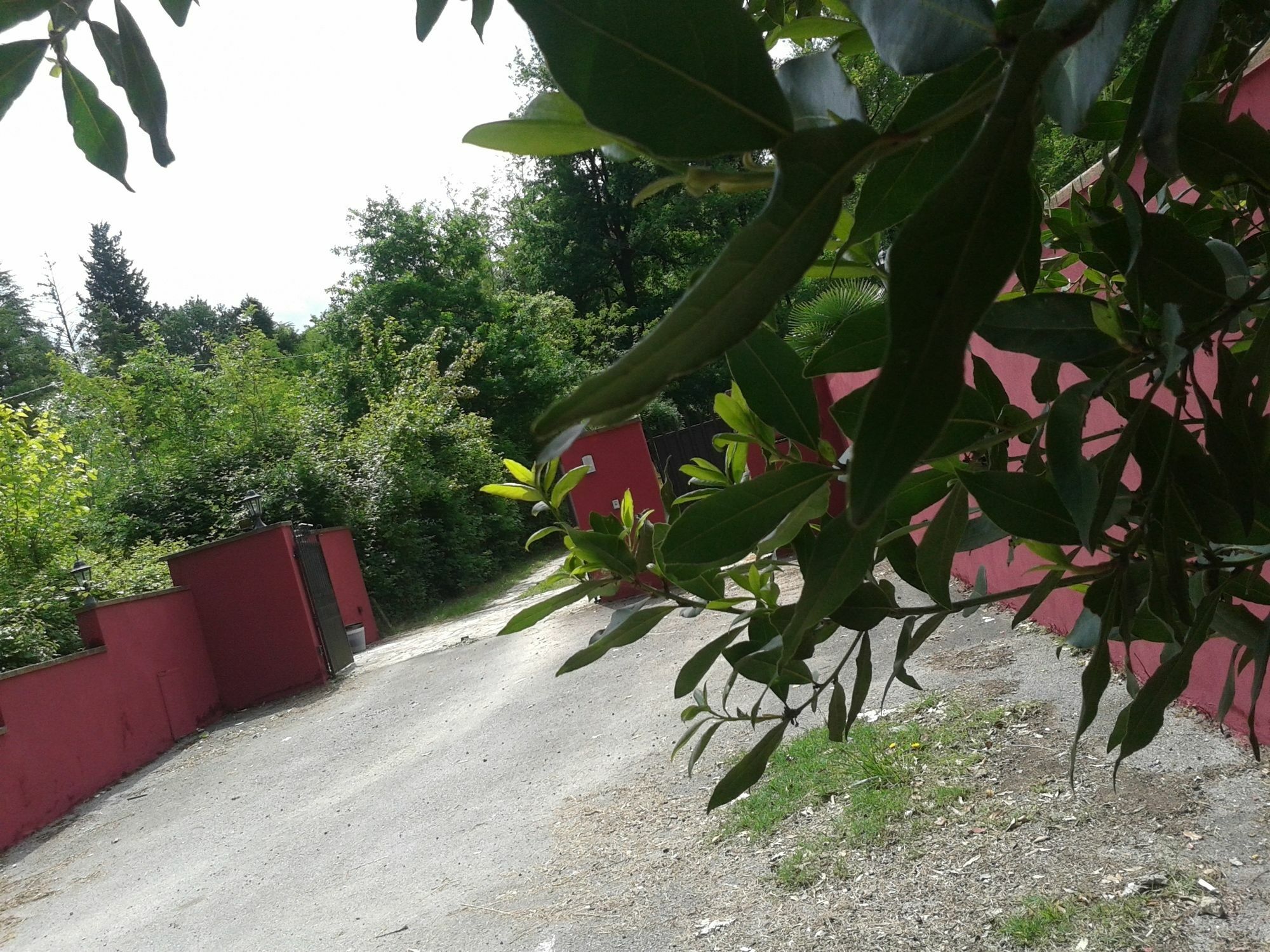 Park View Country House B&B Capannori Exterior foto